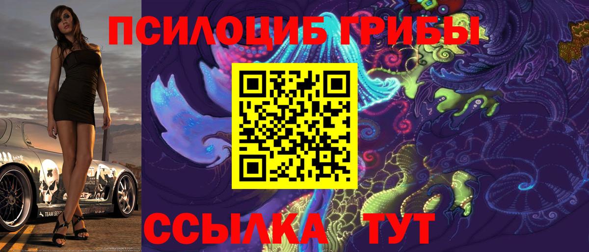 Псилоцибиновые грибы Psilocybe  Галлюциногенные грибы прущие грибы  Железногорск  Вход с VPN 