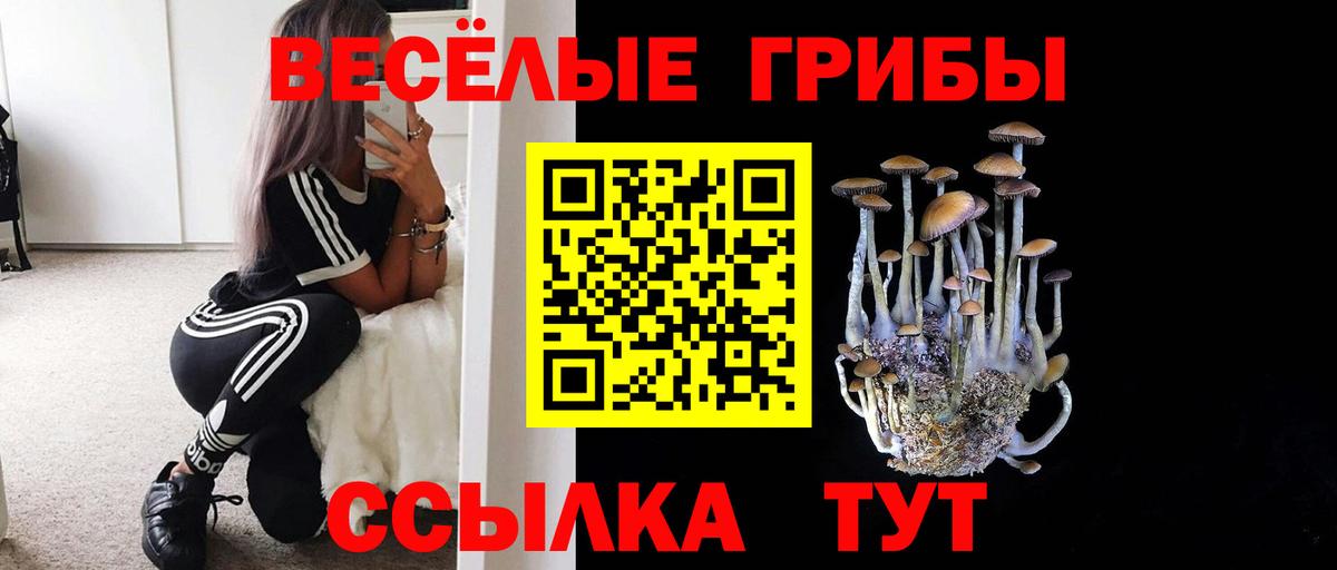 Псилоцибиновые грибы Magic Shrooms Железногорск
